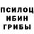 Псилоцибиновые грибы Magic Shrooms Kojin Meru