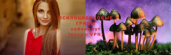 spice Алзамай