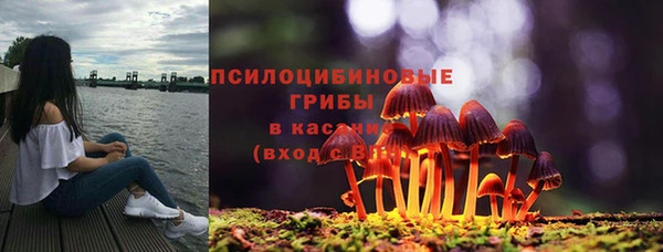 спайс Апатиты