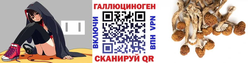 закладки  Дмитриев  Галлюциногенные грибы ЛСД 